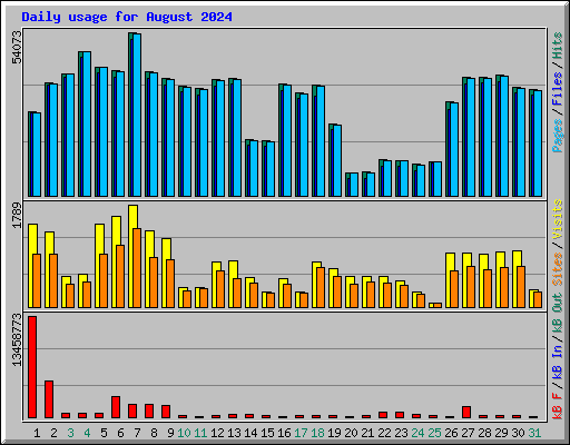 Daily usage for August 2024