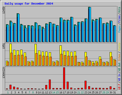 Daily usage for December 2024