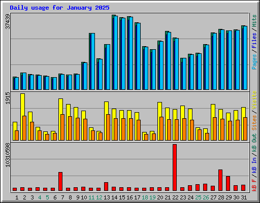 Daily usage for January 2025