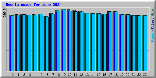 Hourly usage for June 2024