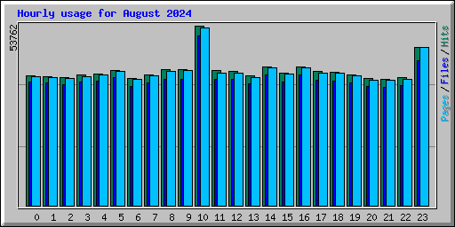 Hourly usage for August 2024