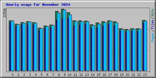 Hourly usage for November 2024