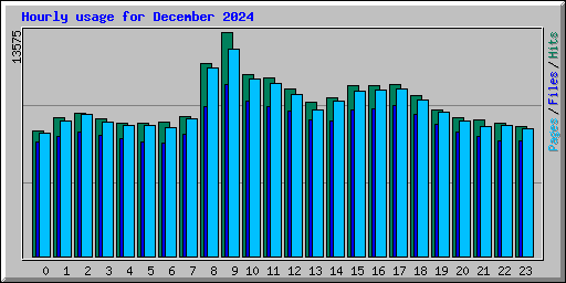 Hourly usage for December 2024