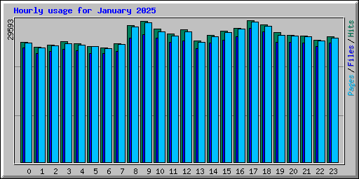 Hourly usage for January 2025