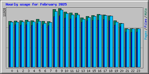 Hourly usage for February 2025