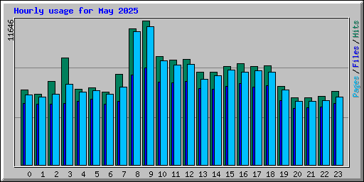 Hourly usage for May 2025