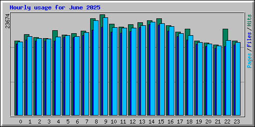Hourly usage for June 2025
