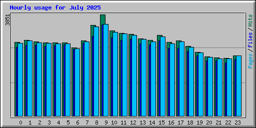 Hourly usage for July 2025