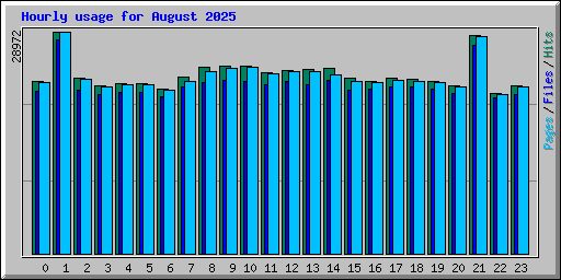 Hourly usage for August 2025
