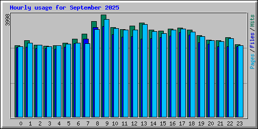 Hourly usage for September 2025