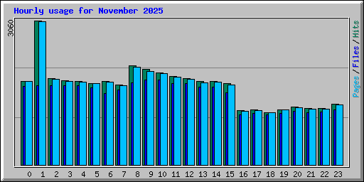 Hourly usage for November 2025